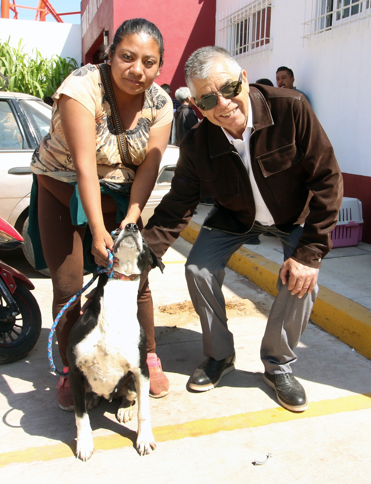 Imagen de Coordinación entre gobierno municipal y estatal genera jornada de esterilización de perros y gatos