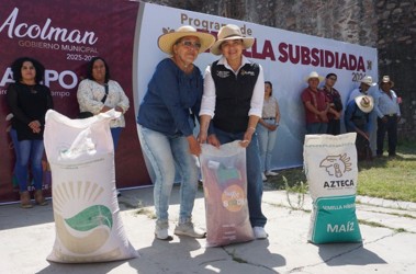 Imagen de Campo Acolmense.