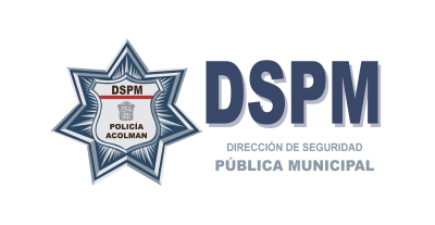 seguridad-publica